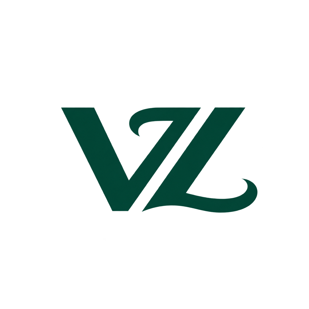Etiqueta con logo VZ